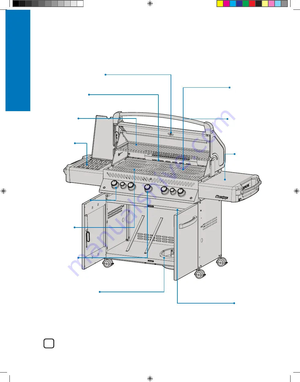 Napoleon P500RSIBPCH-3-DE Manual Download Page 5