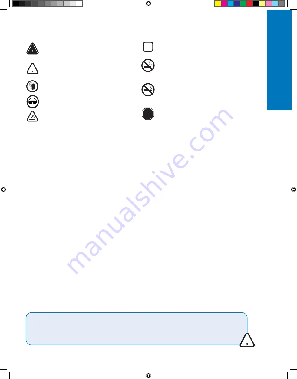 Napoleon P500RSIBPCH-3-DE Manual Download Page 6