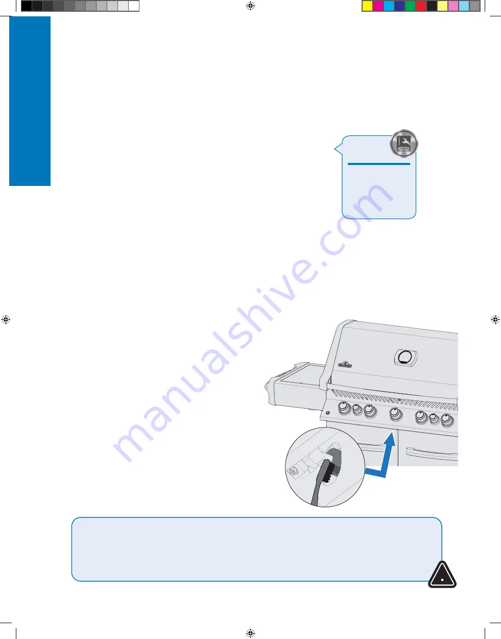 Napoleon P500RSIBPCH-3-DE Manual Download Page 17