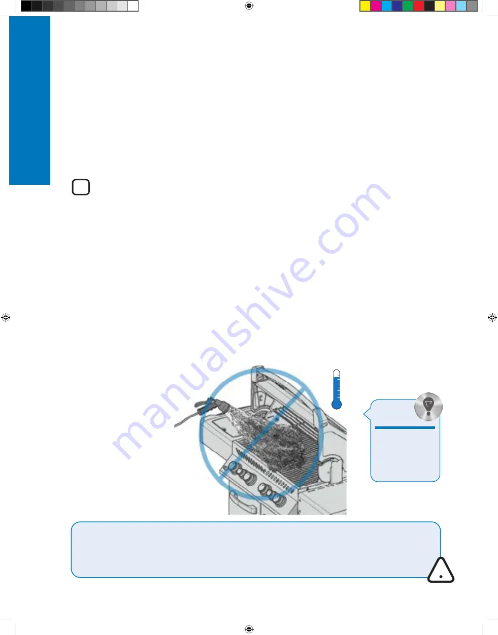 Napoleon P500RSIBPCH-3-DE Manual Download Page 19