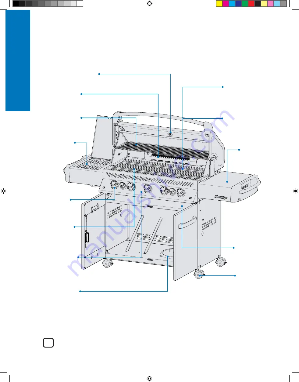 Napoleon P500RSIBPCH-3-DE Manual Download Page 53