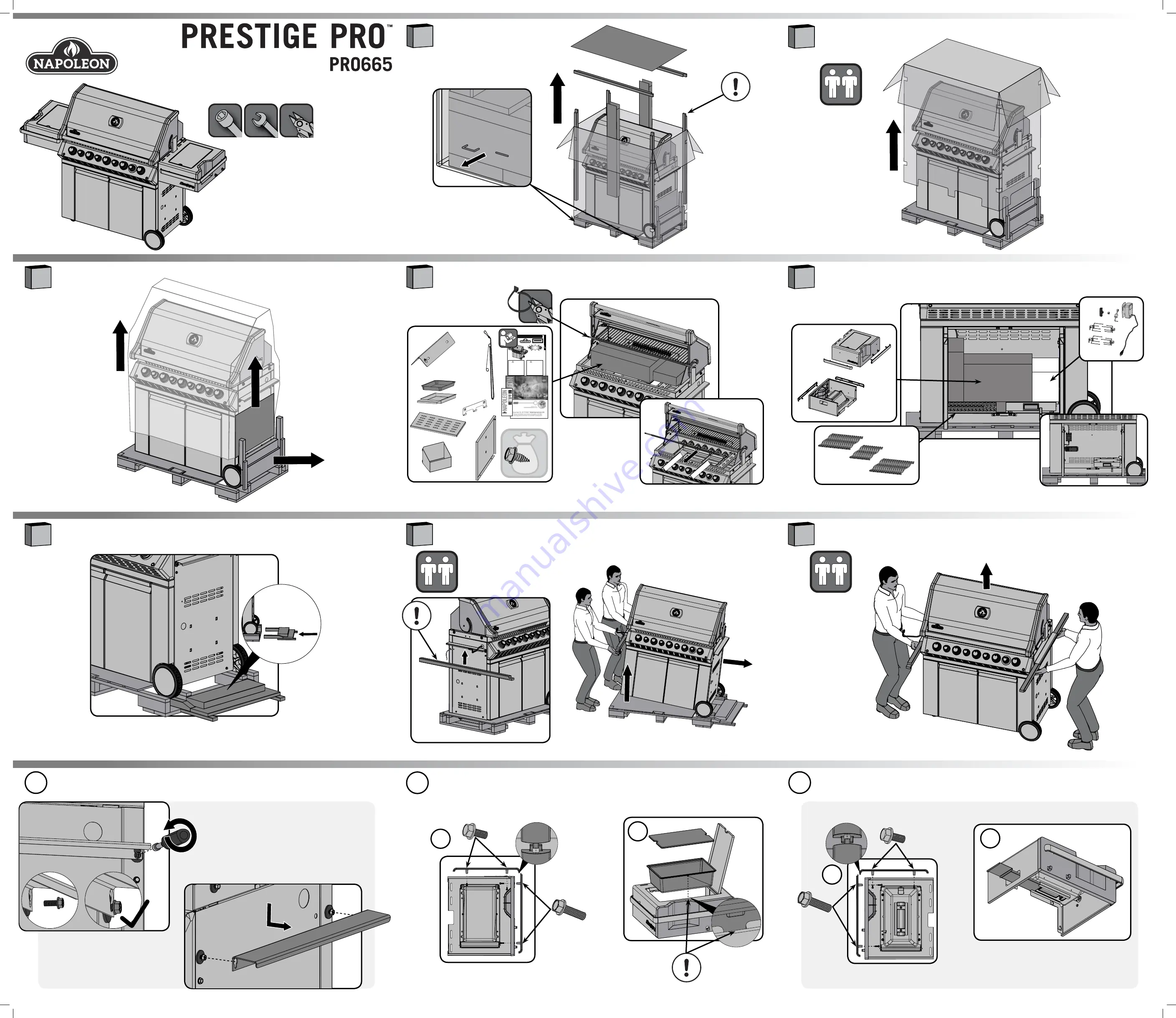 Napoleon PRESTIGE PRO PRO665 Скачать руководство пользователя страница 2