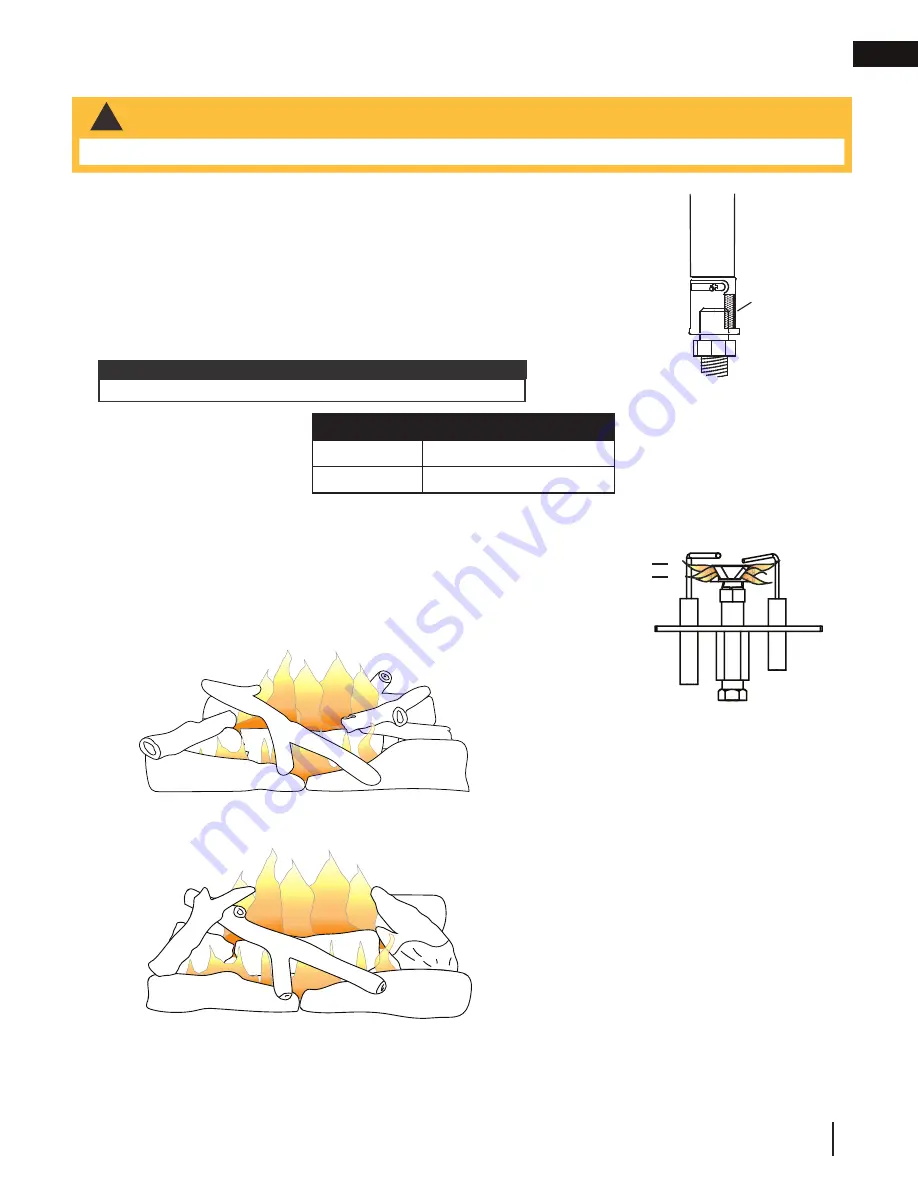 Napoleon Riverside Series Installation And Operation Manual Download Page 29