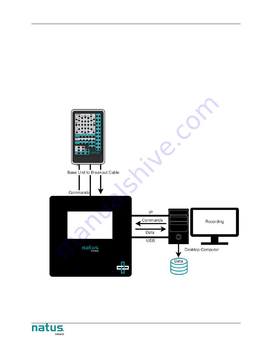 natus neuro Brain Monitor Скачать руководство пользователя страница 38