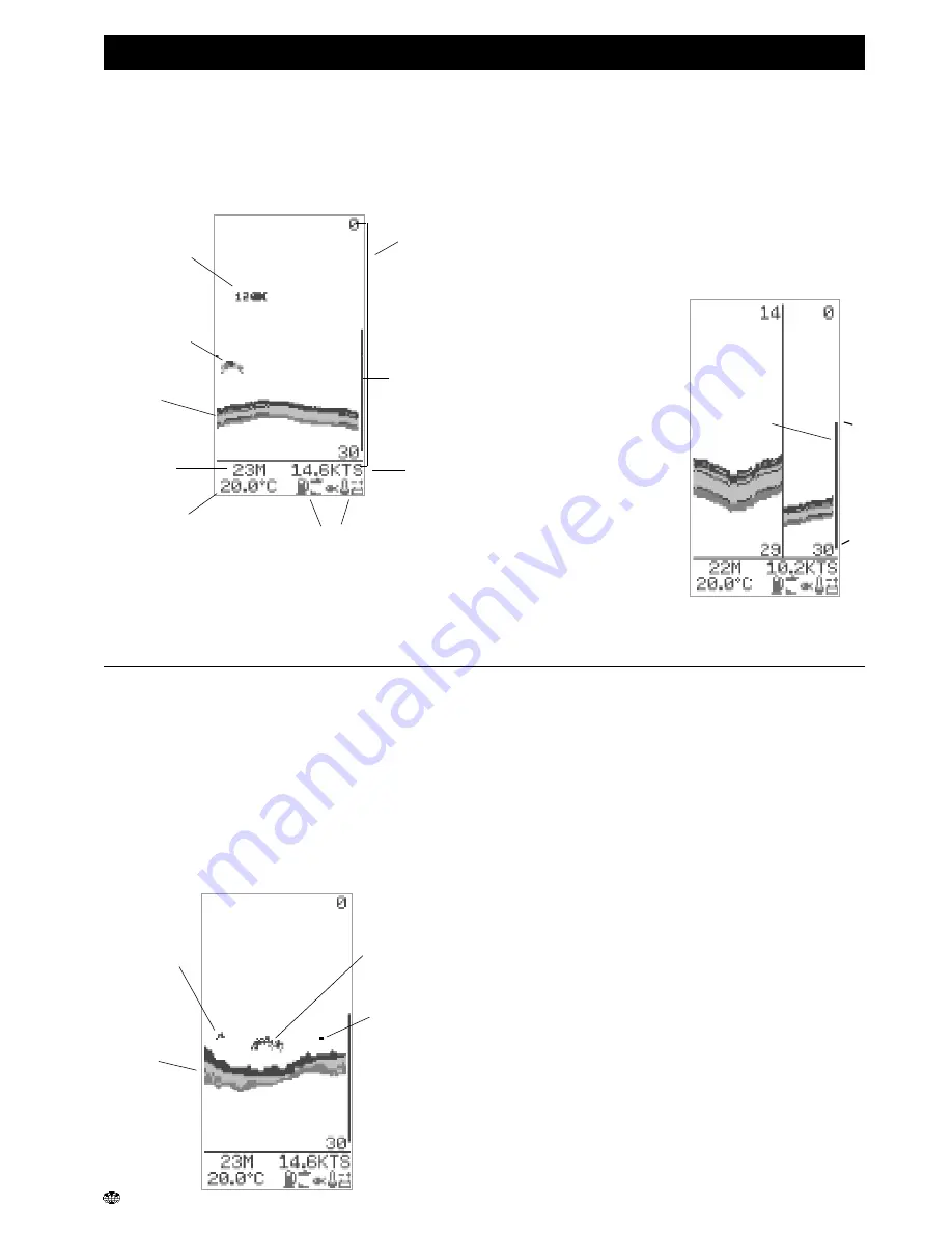 Navman FISH 450 Tricolor Скачать руководство пользователя страница 6