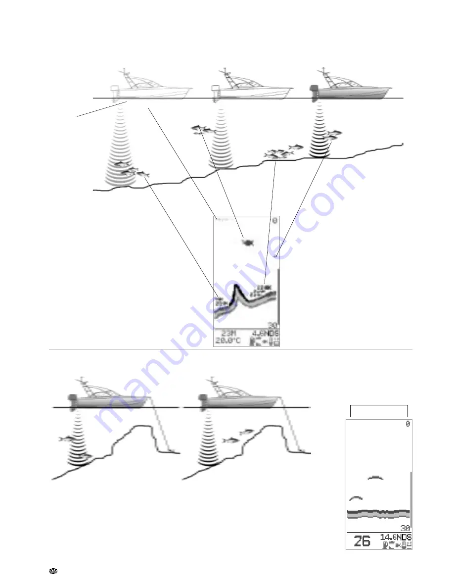 Navman FISH 450 Tricolor Скачать руководство пользователя страница 32