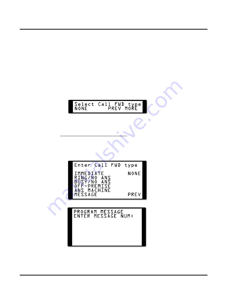 NEC DS1000 Manual Download Page 30