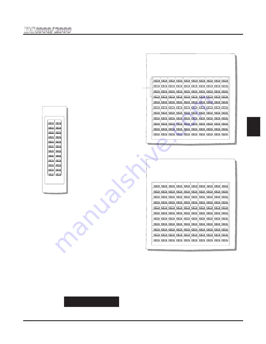 NEC DS1000 Скачать руководство пользователя страница 35