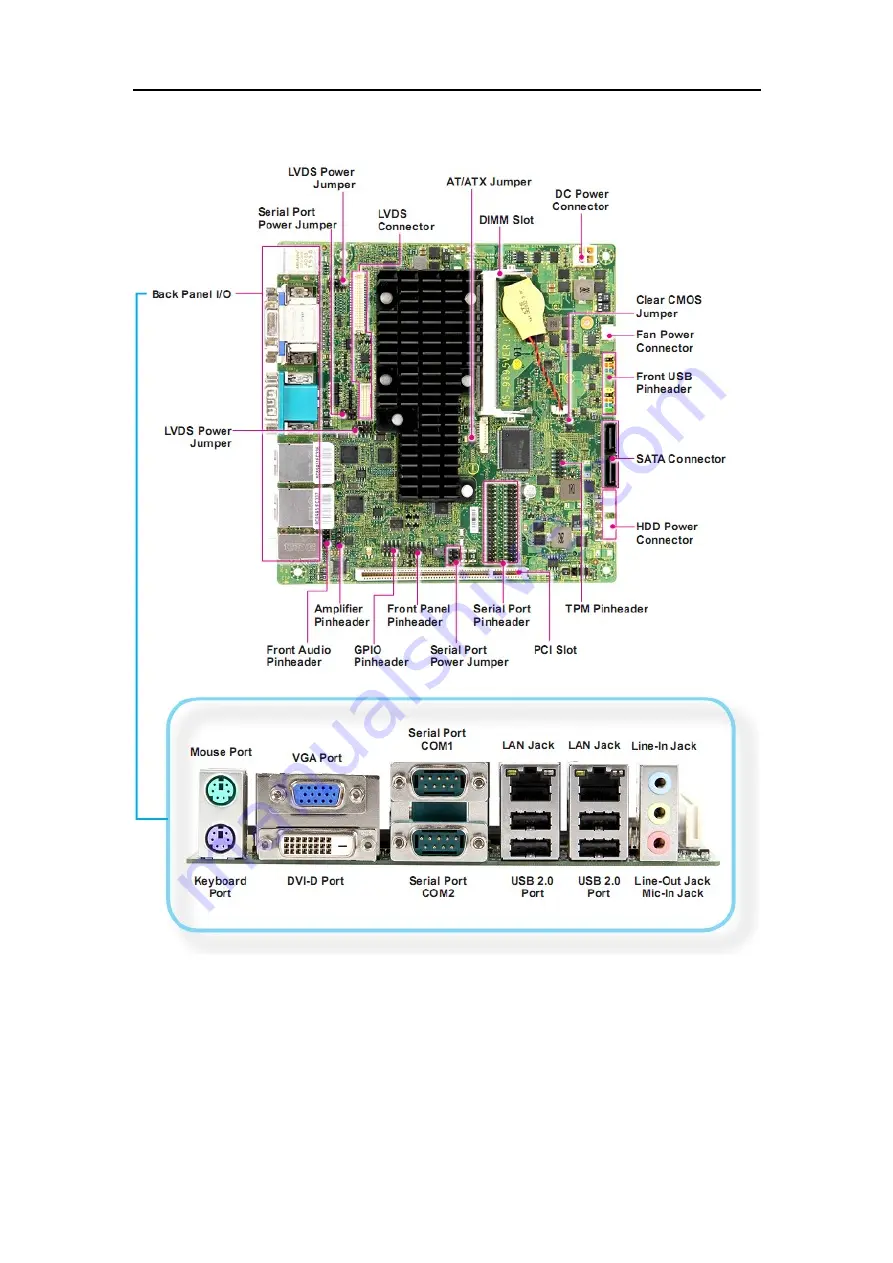 Nematron AEMNM10-876 Скачать руководство пользователя страница 10