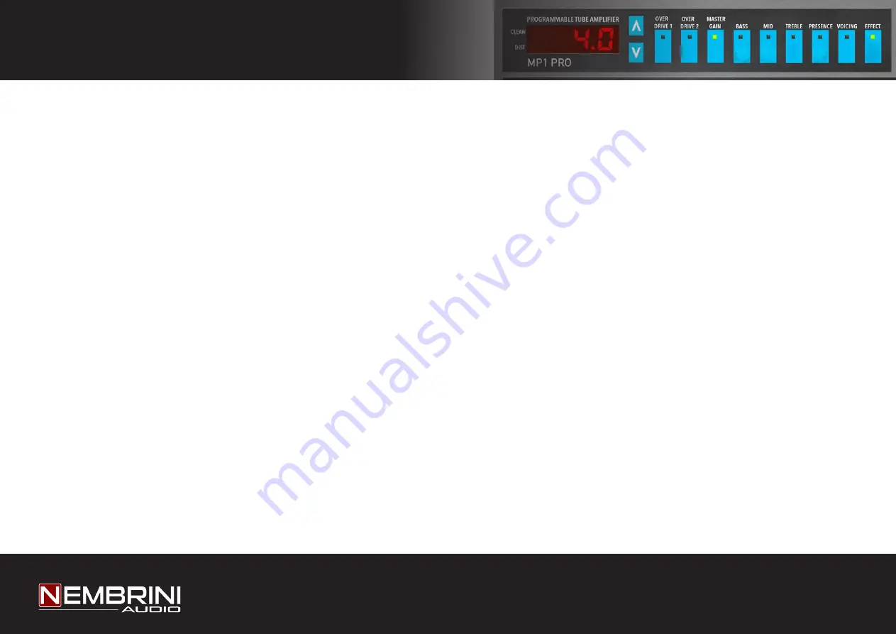 Nembrini Audio MP1 PRO Manual Download Page 2