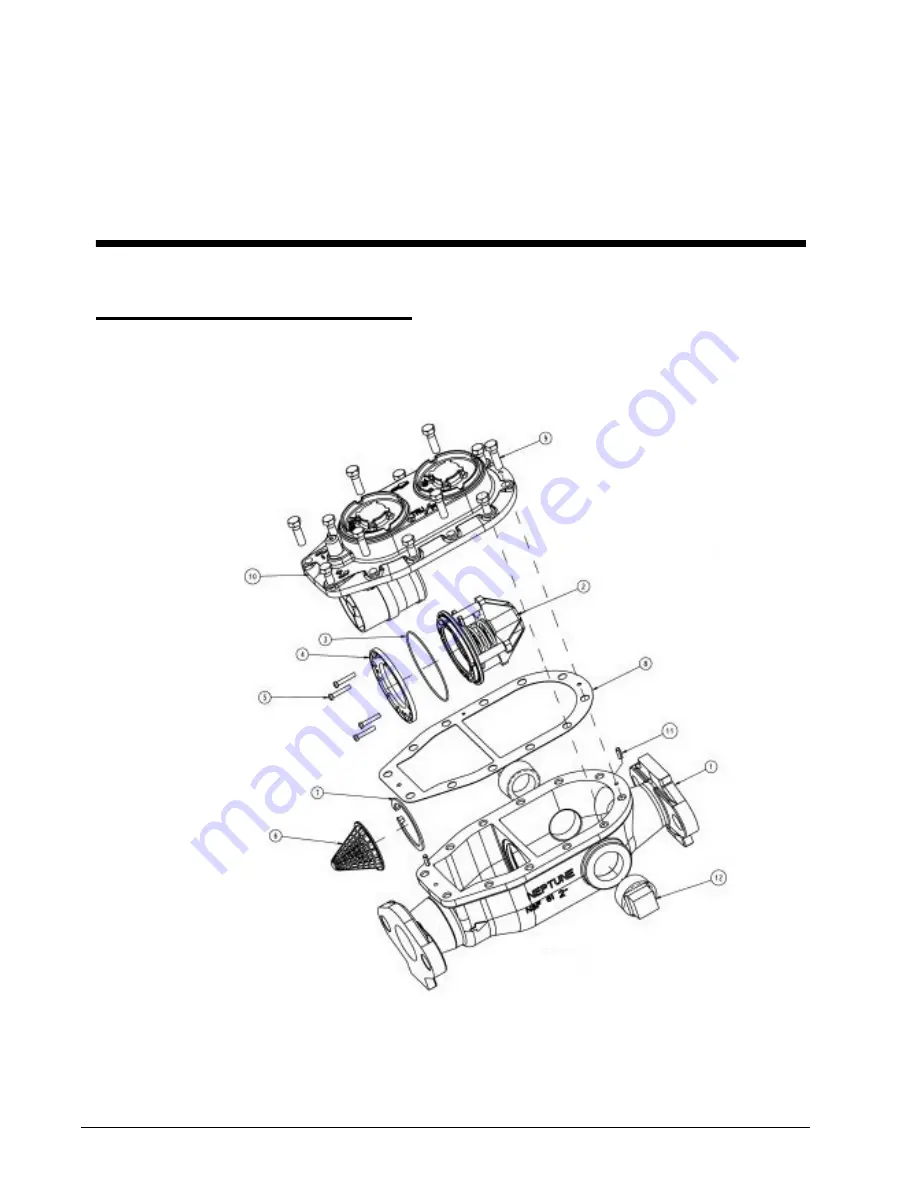 Neptune TRU/FLO Installation And Maintenance Manual Download Page 45