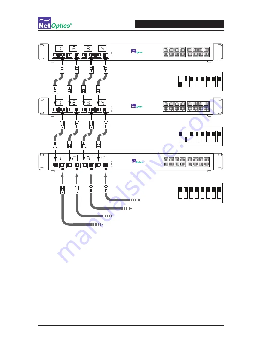 Net Optics 4xN 10 Скачать руководство пользователя страница 17