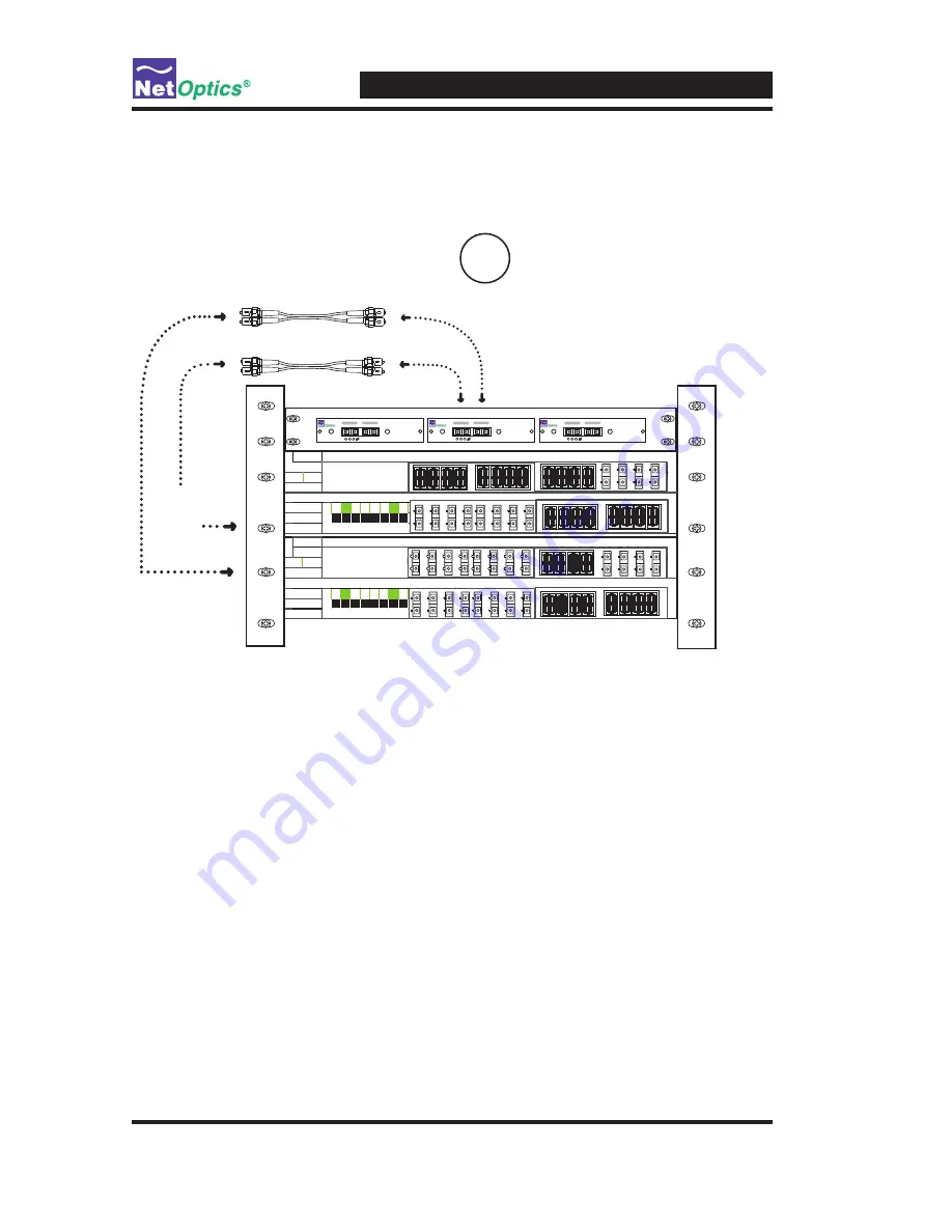 Net Optics OM3131-GIG-R Installation Manual Download Page 8