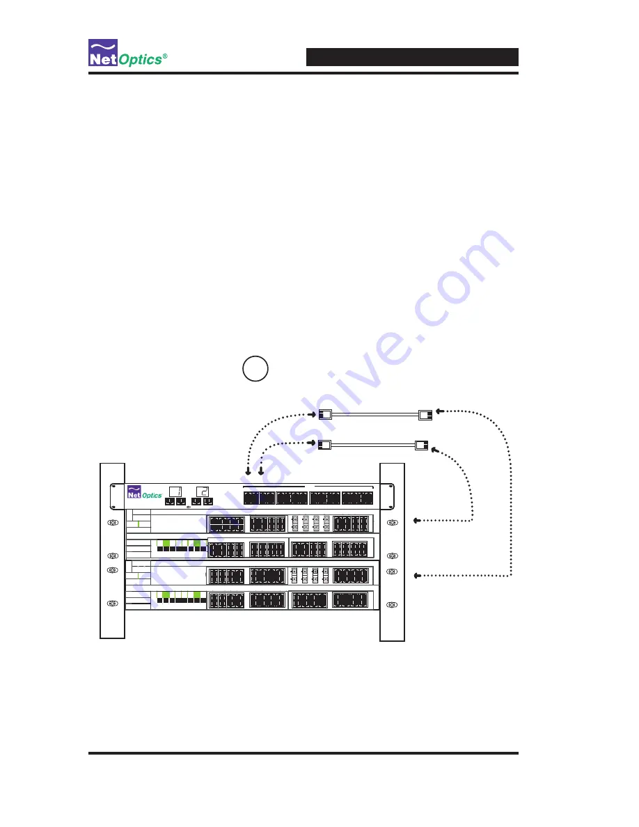 Net Optics SpyderSwitch Installation Manual Download Page 8