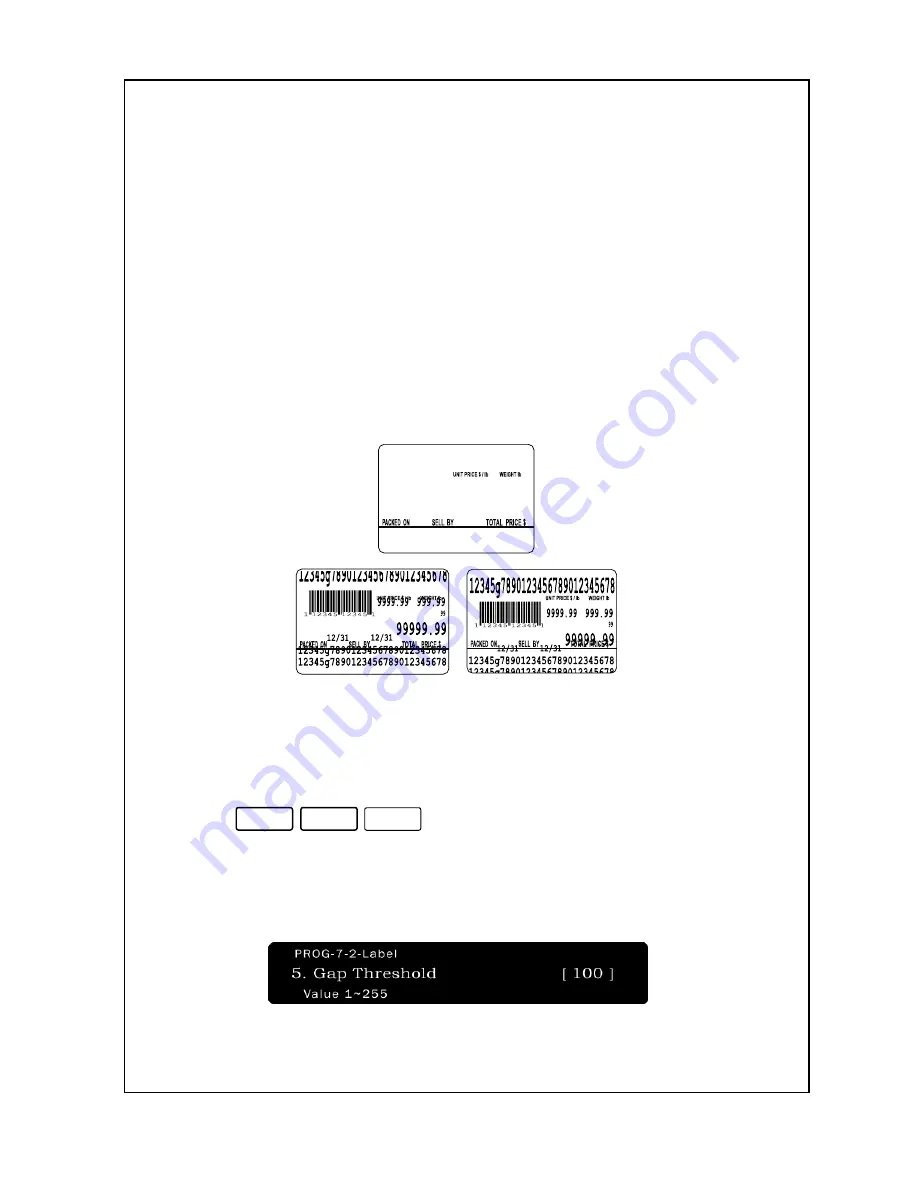 Nets LABEL PRINTING SCALE Operating Manual Download Page 65