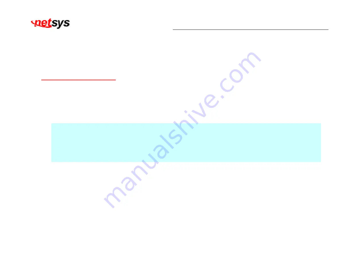 netsys NV-202 User Manual Download Page 10