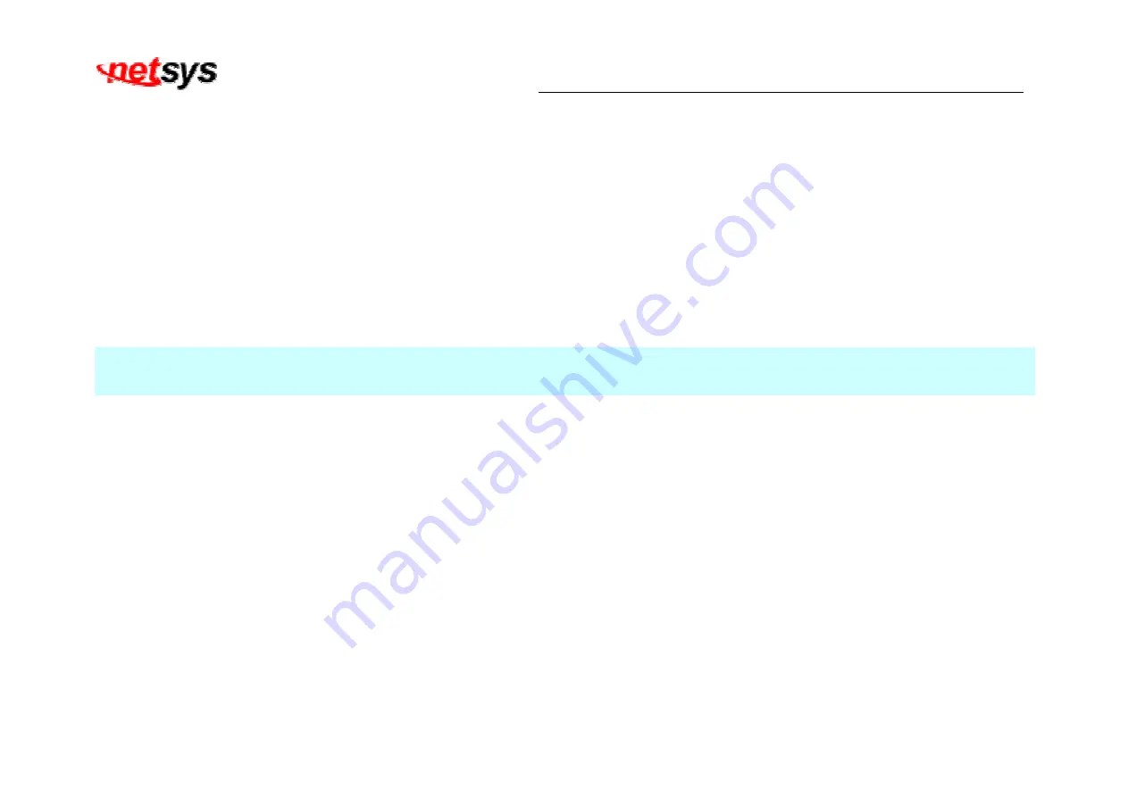 netsys NV-202 User Manual Download Page 22