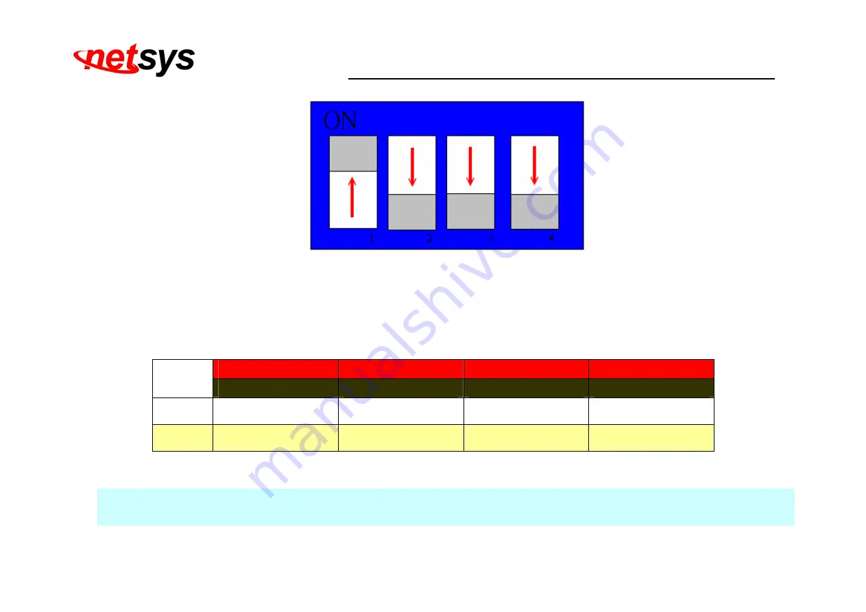 netsys NV-202P User Manual Download Page 20