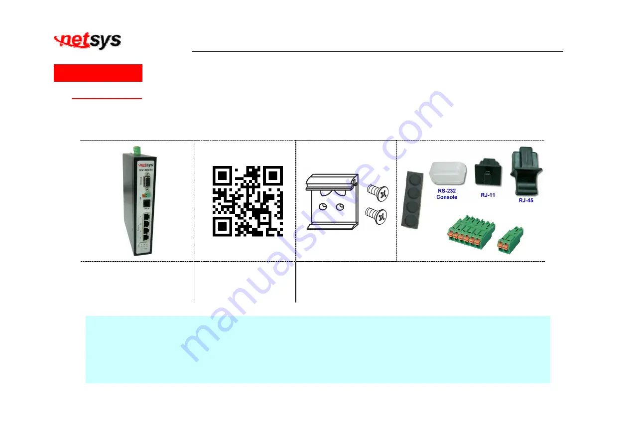 netsys NV-600LI Скачать руководство пользователя страница 10