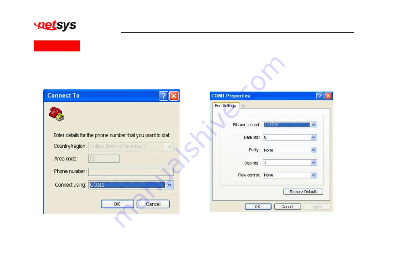 netsys NV-600LI User Manual Download Page 115