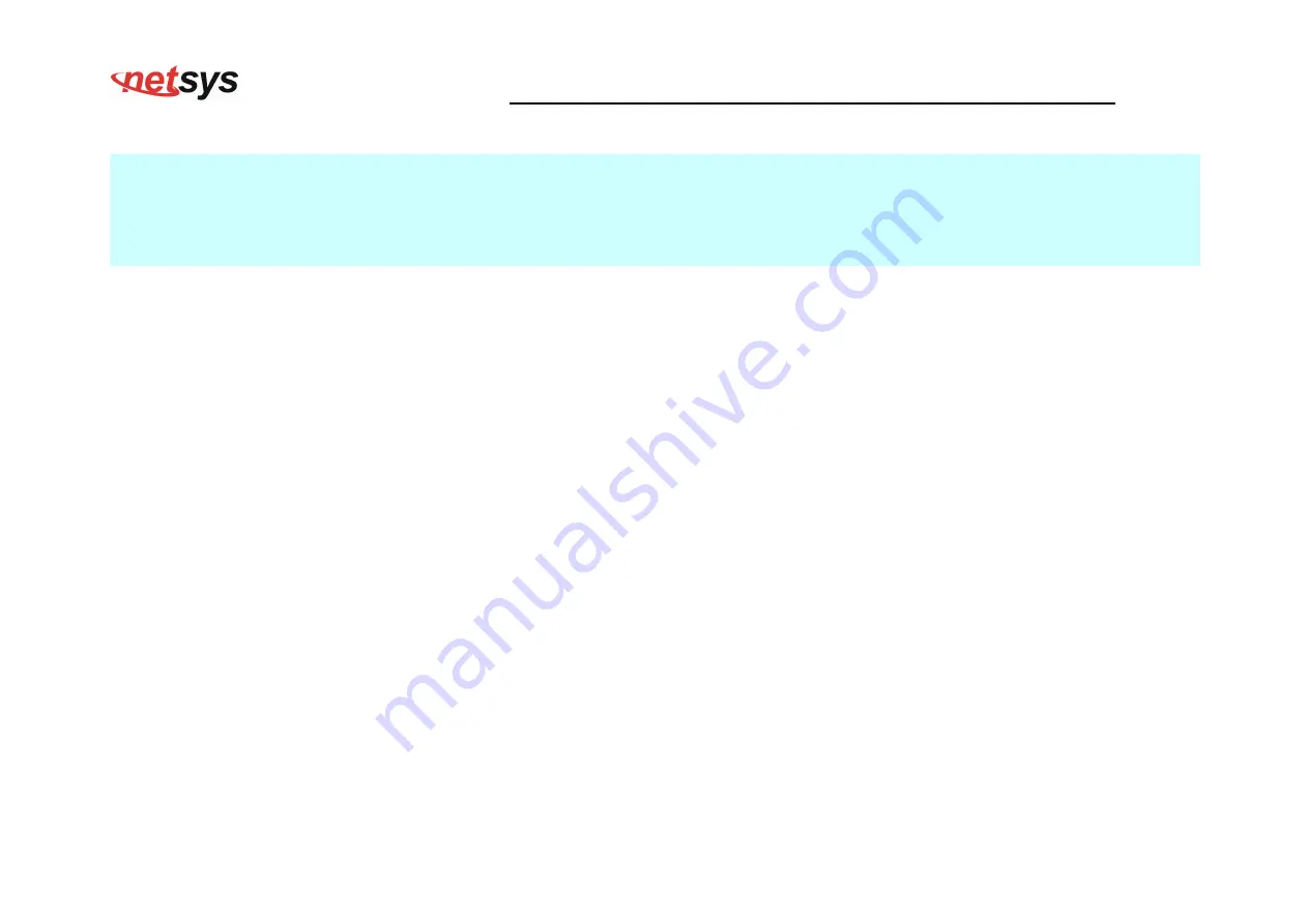 netsys NV-600W User Manual Download Page 65