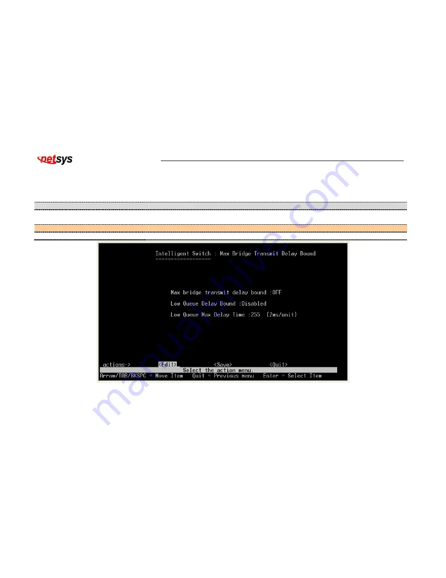 netsys NVF-2400S User Manual Download Page 43