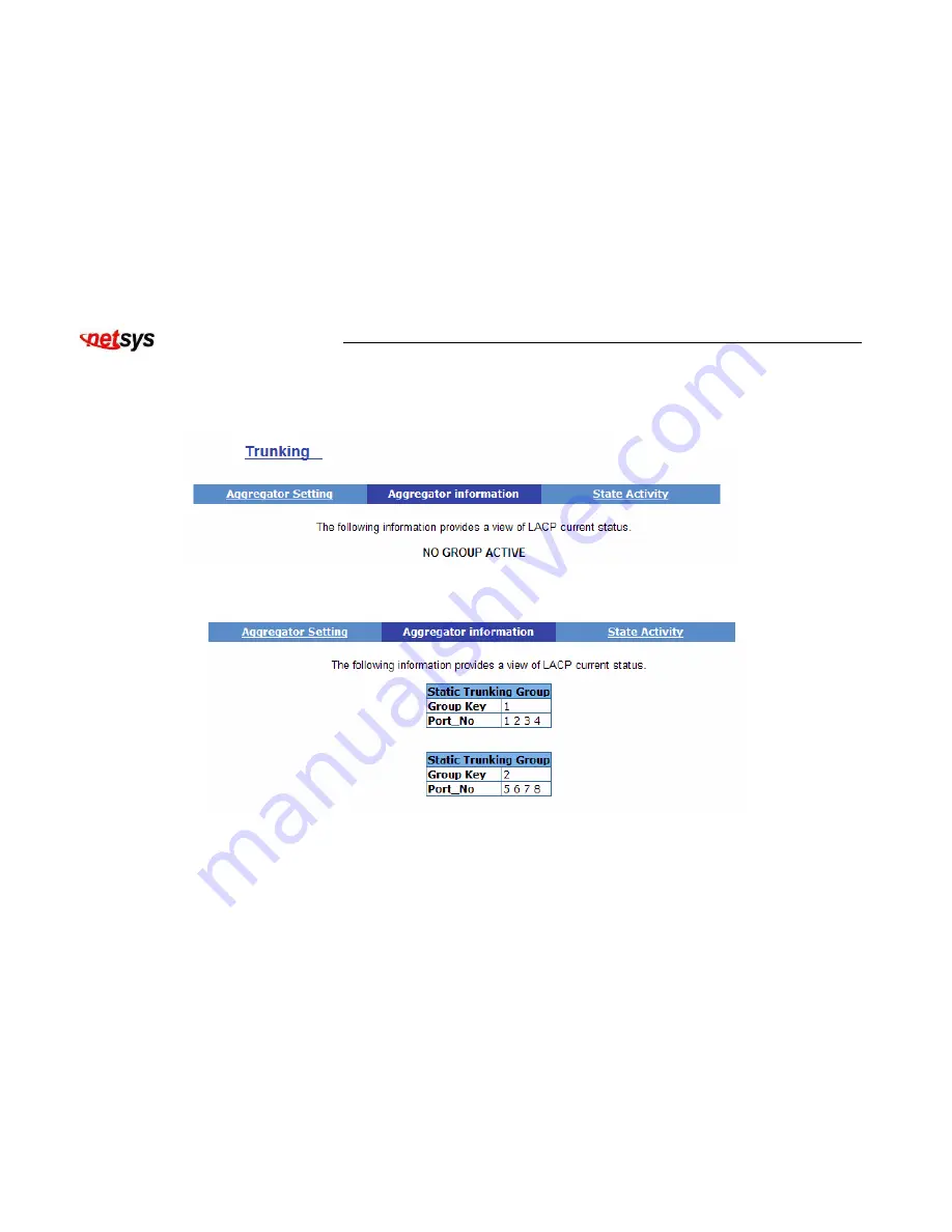 netsys NVF-2400S User Manual Download Page 110