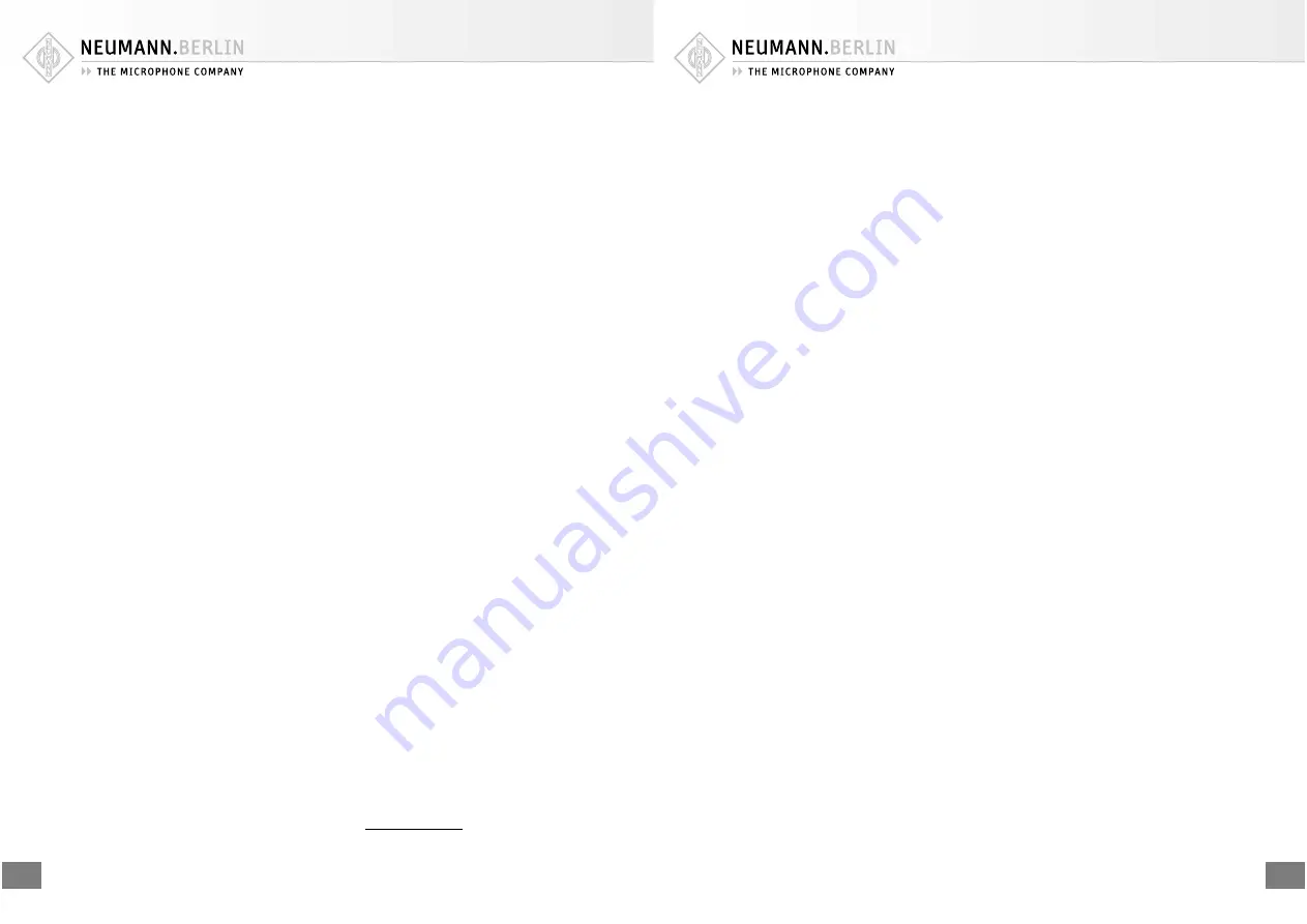 Neumann.Berlin DMI-2 Operating Instructions Manual Download Page 4