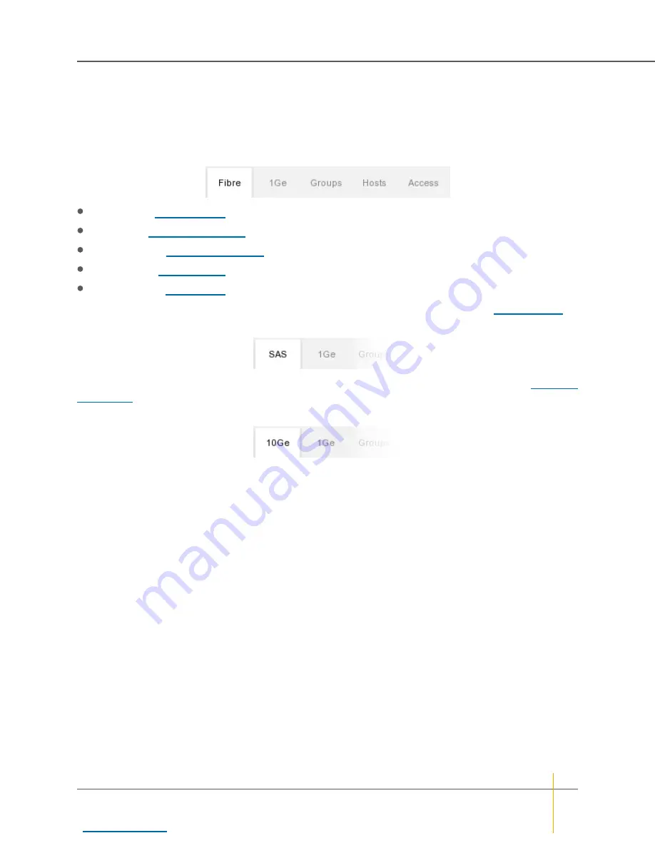 Nexsan BEAST Series User Manual Download Page 162