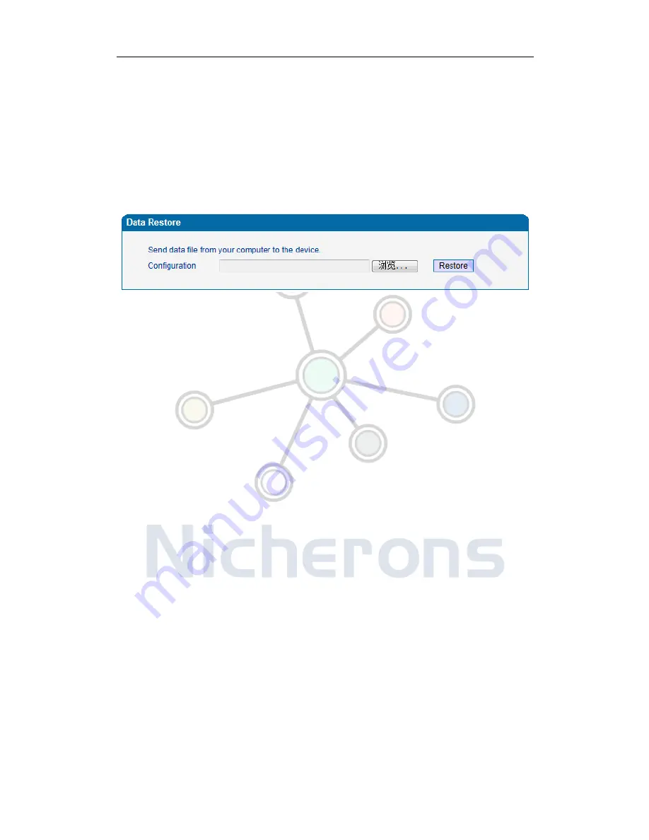 Nicherons FXO User Manual Download Page 45