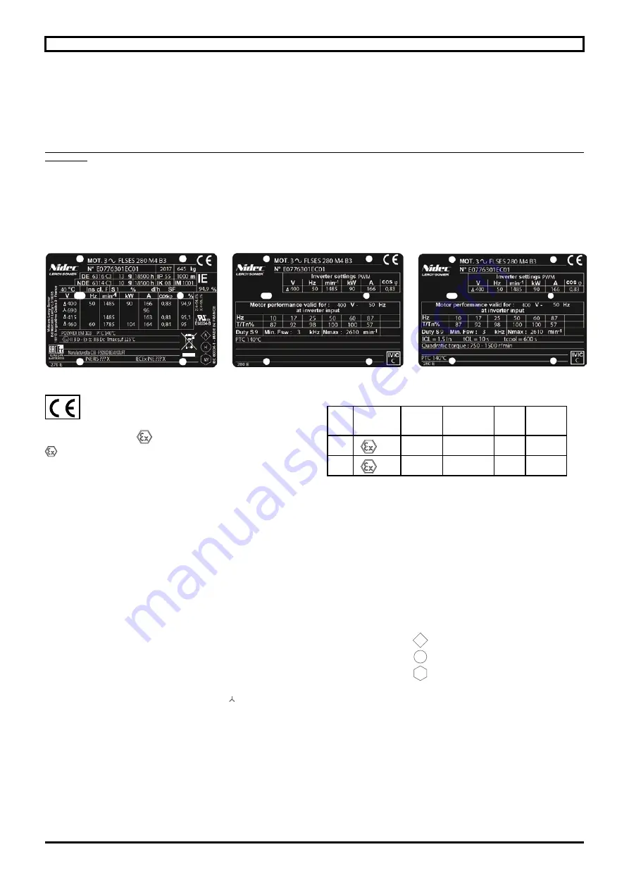 Nidec LEROY-SOMER FLSES 100 L Commissioning And Maintenance Manual Download Page 5