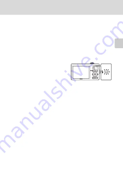 Nikon 26213 User Manual Download Page 43