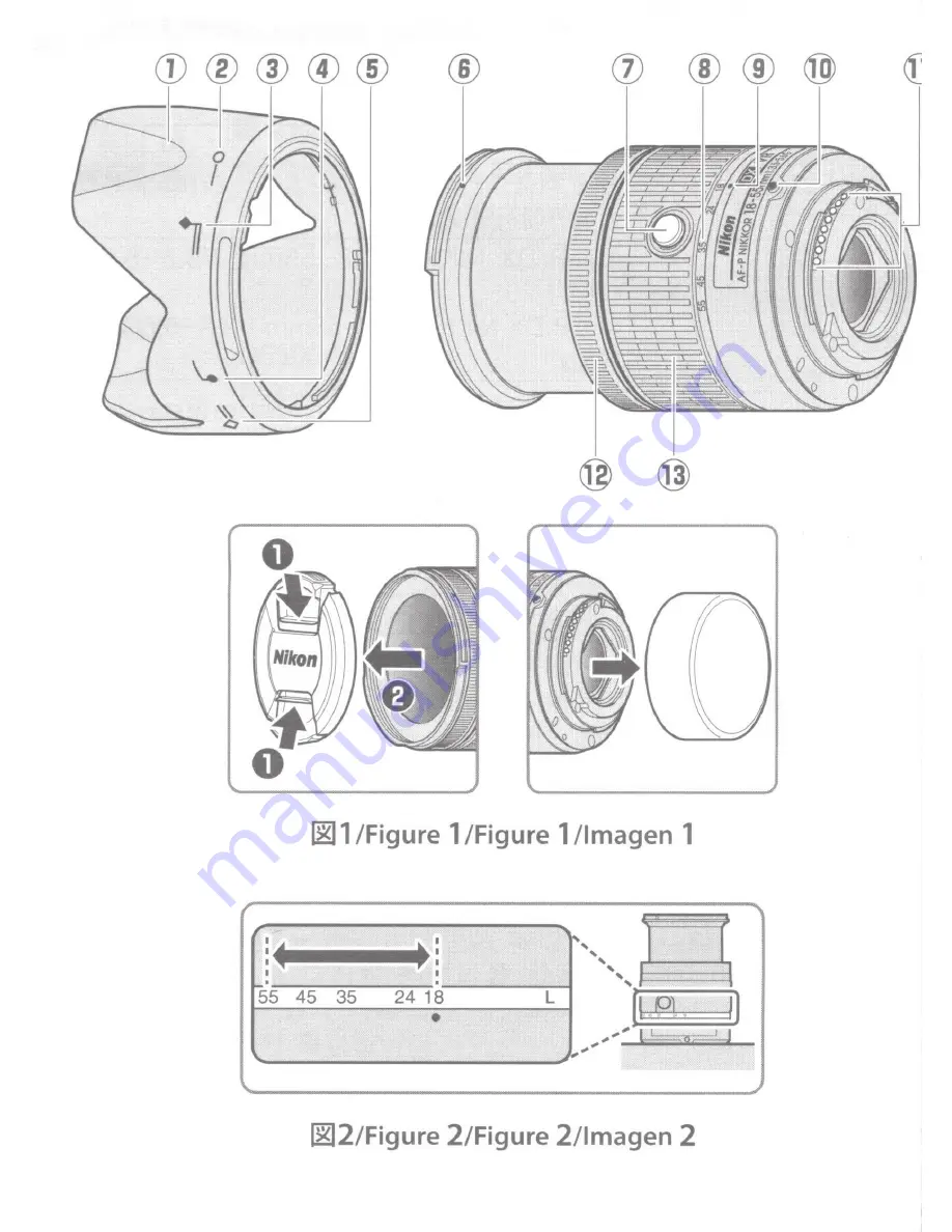 Nikon AF-P DX NIKKOR 18-55 f/3.5-5.66 Скачать руководство пользователя страница 2