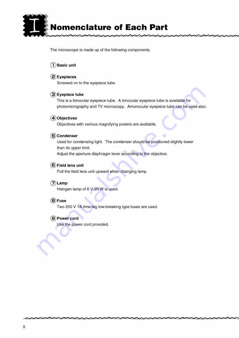 Nikon YS100 Instructions Manual Download Page 9