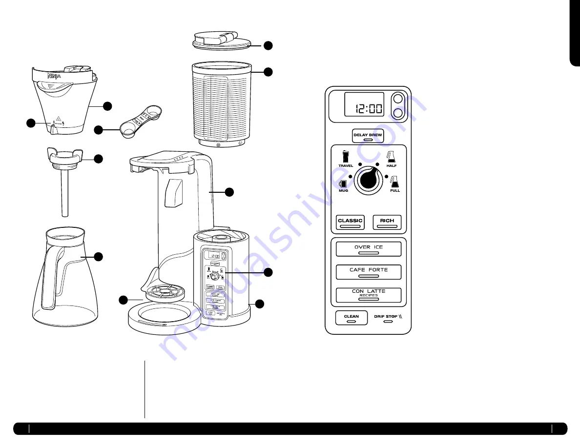 Ninja Coffee Bar CF065EU Скачать руководство пользователя страница 13