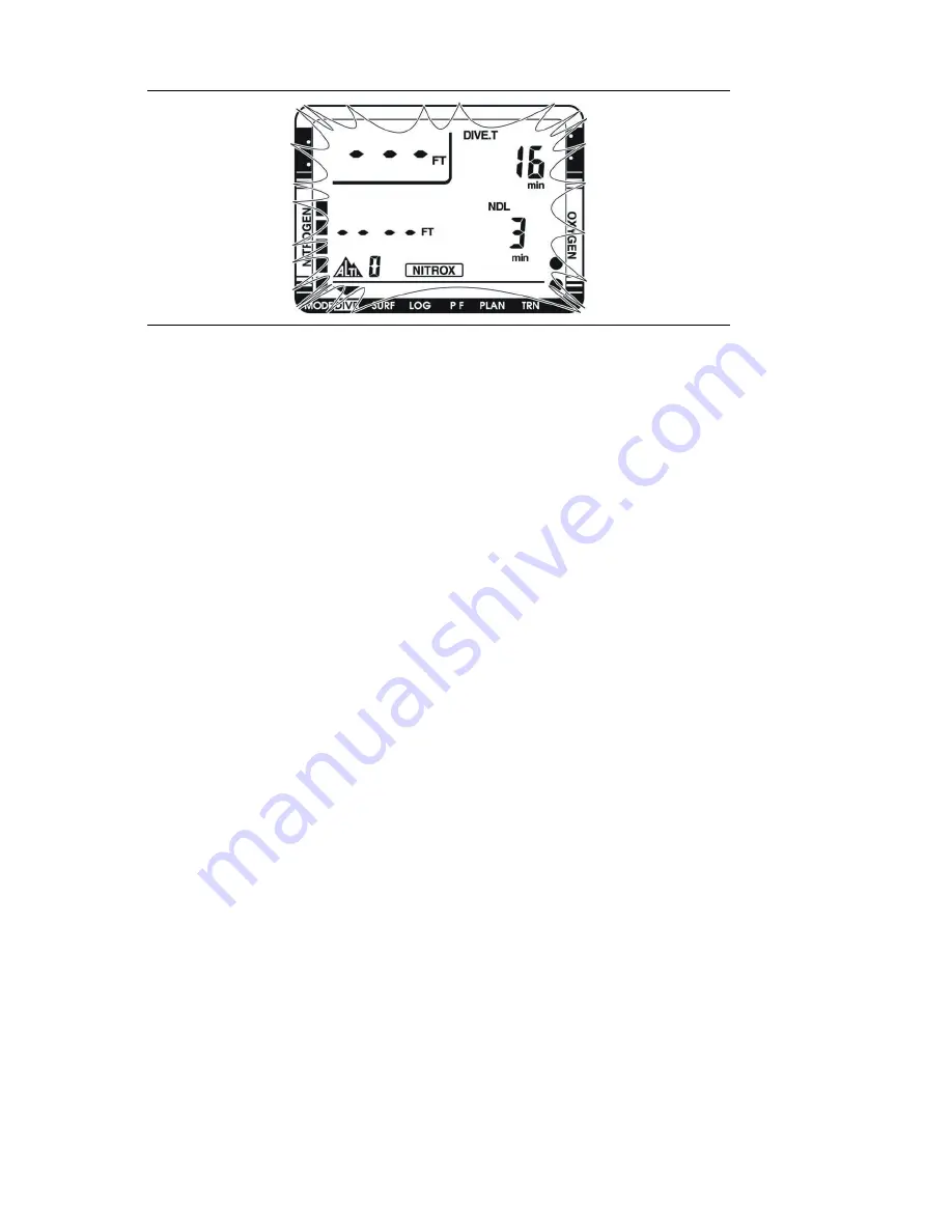 Nitek Dive computer Скачать руководство пользователя страница 30