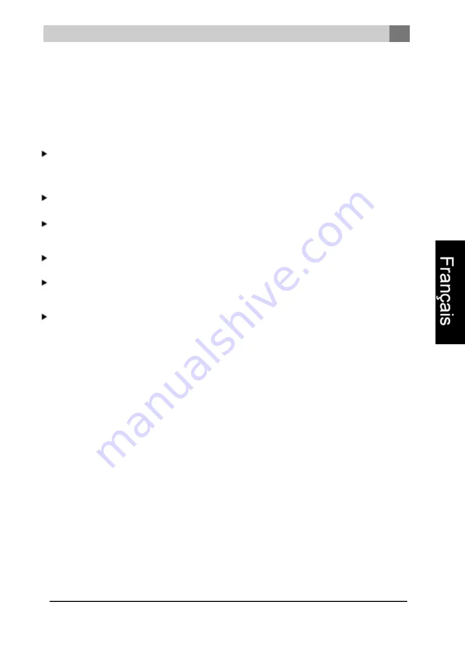 NORFLAM ARDENTE Installation Instructions And Operating Manual Download Page 47