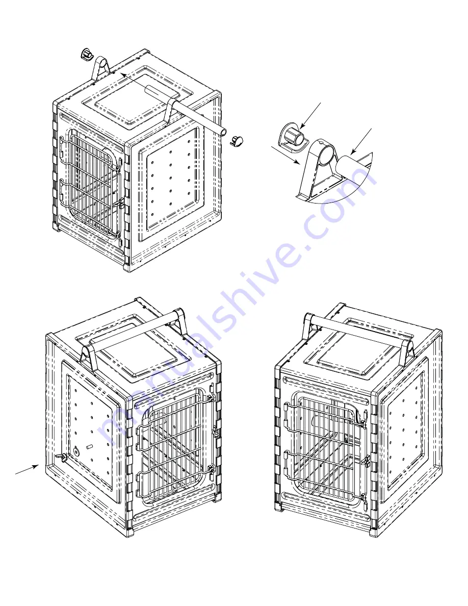 NORTHERN PARROTS 371302 Setup Instructions Download Page 2