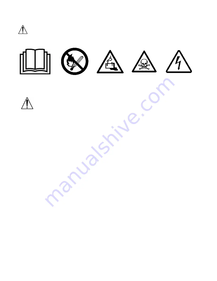 NSS Electro-Mist 4B Operator'S Manual Download Page 12