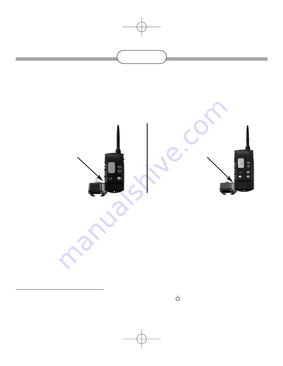 Num'axes CANICOM 1500 PRO User Manual Download Page 24