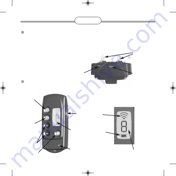 Num'axes Canicom 250S User Manual Download Page 54