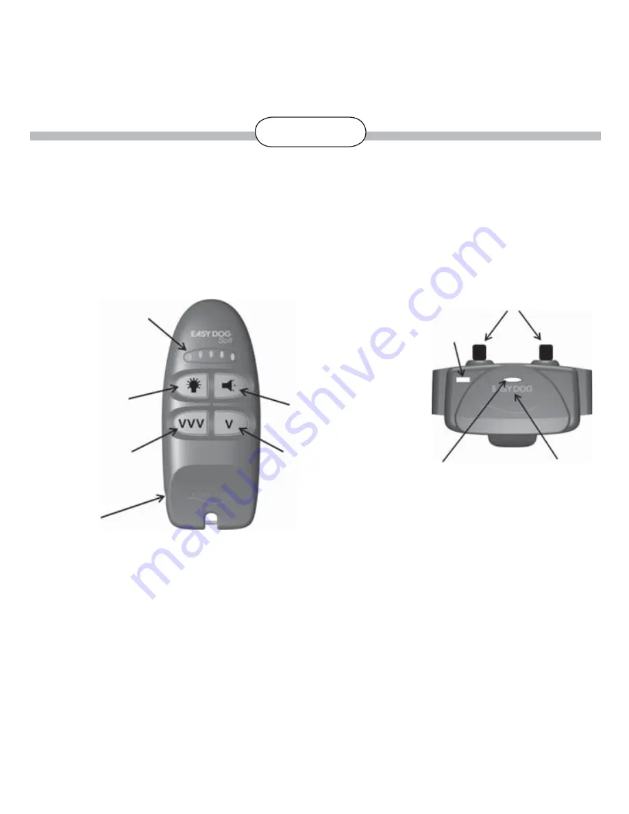 Num'axes EASY DOG PULSE User Manual Download Page 37