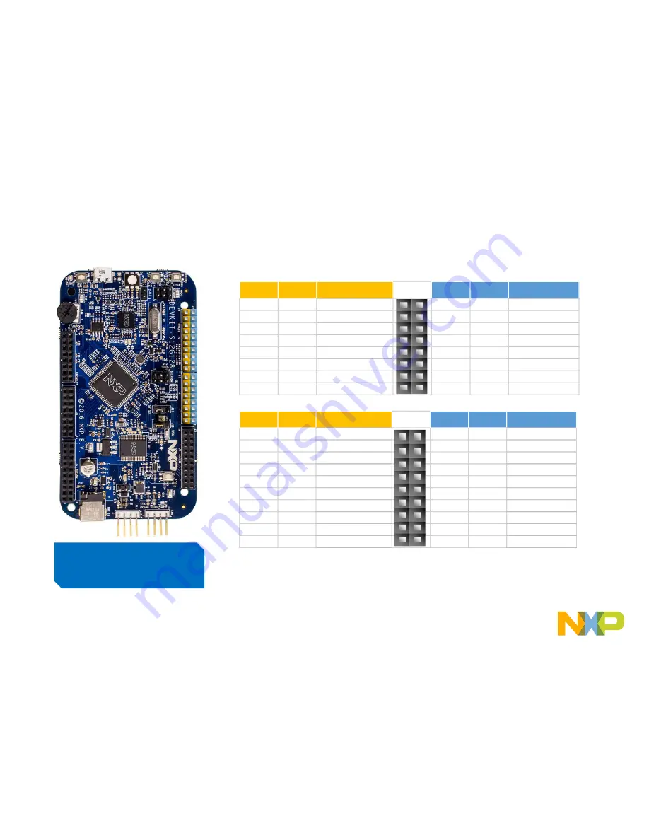 NXP Semiconductors DEVKIT-S12G128 Скачать руководство пользователя страница 4