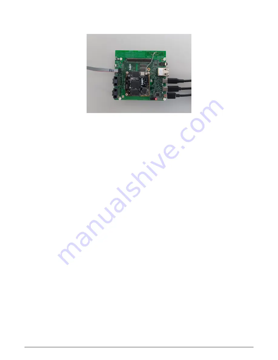 NXP Semiconductors EVKmimx8mm User Manual Download Page 6