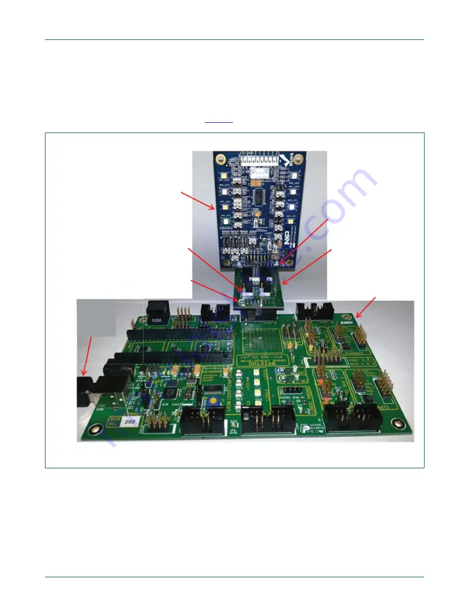 NXP Semiconductors PCA9955A Скачать руководство пользователя страница 6