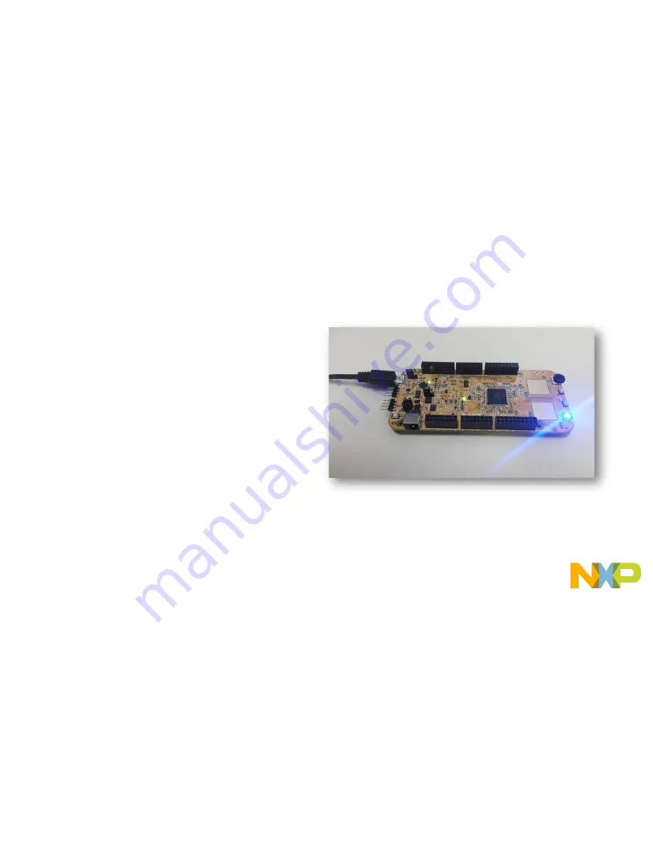 NXP Semiconductors S32K142 Скачать руководство пользователя страница 12