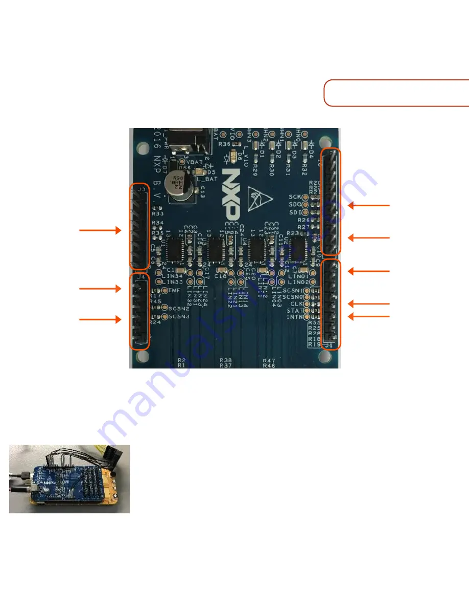 NXP Semiconductors SJA1124EVB Скачать руководство пользователя страница 3