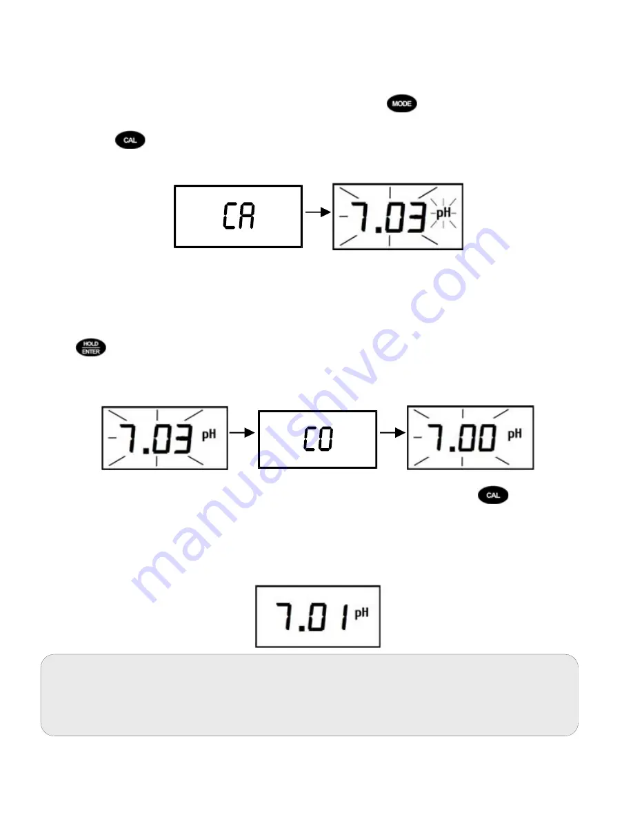 Oakton Ion 6+ Скачать руководство пользователя страница 10