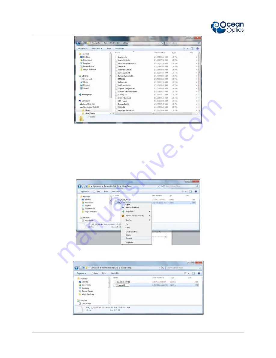 Ocean Optics IDRaman mini Installation And Operation Manual Download Page 30