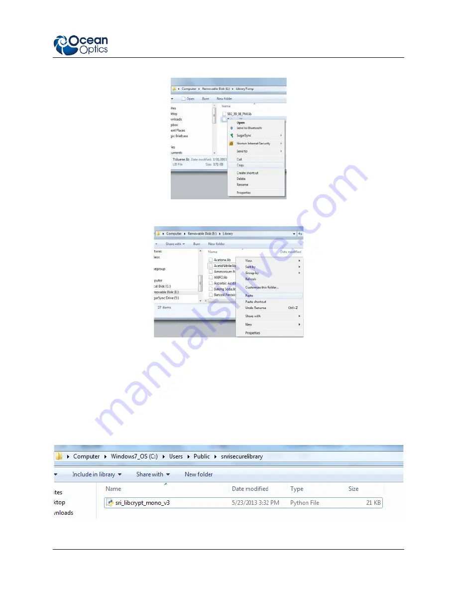 Ocean Optics IDRaman mini Installation And Operation Manual Download Page 31